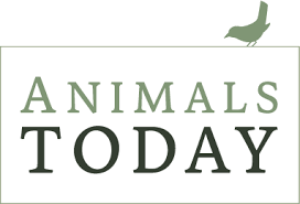Animals Today