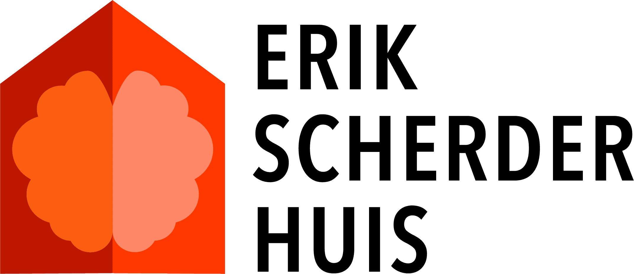 Stichting Erik Scherder Huizen