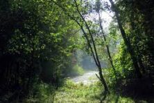 img-a158d000002ZX3qAAG-0EM8d000004F16F.jpg