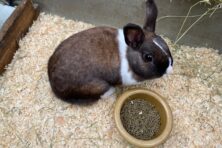 img-a15Sq00000LPYC5IAP-0EMSq00000GHpPt.jpg