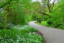 img-a15Sq00000aL2WjIAK-0EMSq00000TdFph.jpg