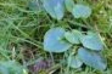 img-a15Sq00000c9iOvIAI-0EMSq00000YRjof.jpg