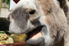 salesforce_138460_1773064339