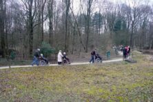 salesforce_159001_1769591277