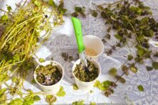 salesforce_163480_1773064411