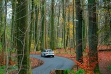 salesforce_166346_1775530817