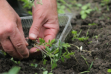 salesforce_166560_1775617220