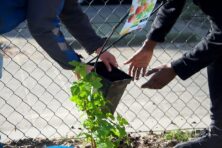 salesforce_168856_1777431614