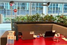 salesforce_183062_1789009246