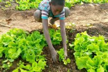 salesforce_183434_1789441217