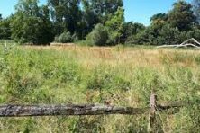 salesforce_61975_1773064287