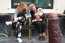 salesforce_62230_1773064379